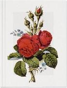 Geschichte der Rose Großes Notizheft (A5) Motiv Moosrose