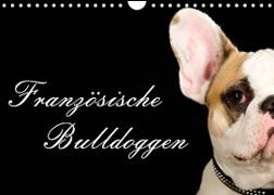Französische Bulldoggen (Wandkalender 2022 DIN A4 quer)