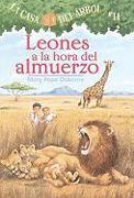 Leones a la Hora del Almuerzo (Lions at Lunchtime)