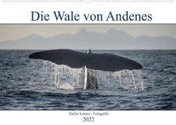 Die Wale von Andenes (Wandkalender 2022 DIN A2 quer)