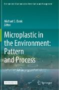 Microplastic in the Environment: Pattern and Process