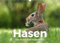 Hasen - Die niedlichen Hoppeltiere. (Wandkalender 2022 DIN A3 quer)