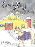 SandyBoy and the Christmas Blizzard (A SandyBoy Adventure)