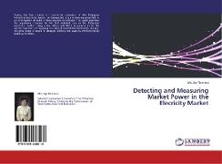 Detecting and Measuring Market Power in the Elecricity Market