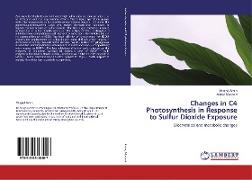 Changes in C4 Photosynthesis in Response to Sulfur Dioxide Exposure