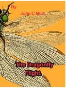 The Dragonfly Flight