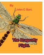The Dragonfly Flight