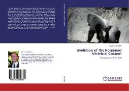 Evolution of the Hominoid Vertebral Column