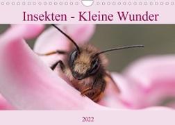 Insekten - Kleine Wunder (Wandkalender 2022 DIN A4 quer)