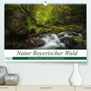 Natur Bayerischer Wald (Premium, hochwertiger DIN A2 Wandkalender 2022, Kunstdruck in Hochglanz)