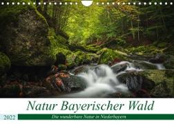 Natur Bayerischer Wald (Wandkalender 2022 DIN A4 quer)