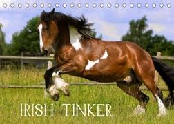 Irish Tinker (Tischkalender 2022 DIN A5 quer)