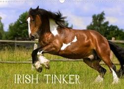 Irish Tinker (Wandkalender 2022 DIN A3 quer)