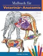 Malbuch für Veterinär-Anatomie