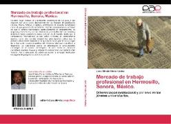 Mercado de trabajo profesional en Hermosillo, Sonora, México