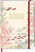 Mein Jahr 2023 - Korallen (I love my Ocean)