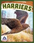 Harriers