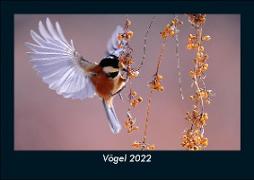 Vögel 2022 Fotokalender DIN A5