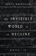 The Invisible World Is in Decline Book IX