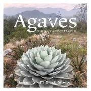 Agaves:: Species, Cultivars & Hybrids