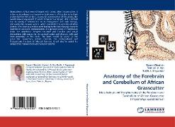 Anatomy of the Forebrain and Cerebellum of African Grasscutter