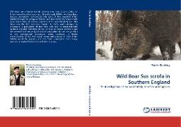 Wild Boar Sus scrofa in Southern England