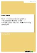 Socio economic and demographic determinants of urban youth unemployment. The case of Hawassa City in Ethopia