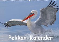 Pelikan-Kalender (Wandkalender 2022 DIN A2 quer)