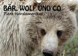 Bär, Wolf und Co - Tiere Nordamerikas (Wandkalender 2022 DIN A4 quer)