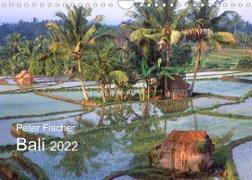 Peter Fischer - Bali 2022 (Wandkalender 2022 DIN A4 quer)