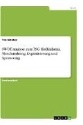 SWOT-Analyse zum TSG Hoffenheim. Merchandising, Digitalisierung und Sponsoring