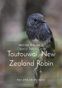 Toutouwai New Zealand Robin