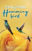 Evolution of Hummingbird