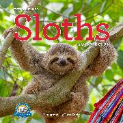 Original Sloths Wall Calendar 2023