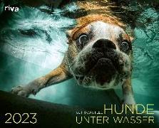 Hunde unter Wasser 2023