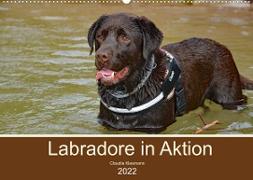 Labradore in Aktion (Wandkalender 2022 DIN A2 quer)