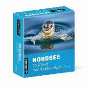 Nordsee - 50 Rätsel mit Ausflugstipps