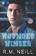Wounded Winger: A standalone MM, nerd/jock romance, Nickel City Bandits Series Book 3