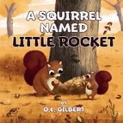 A Squirrel Named Little Rocket