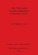 Later Pleistocene Cultural Adaptations in Sudanese Nubia