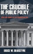 The Crucible of Public Policy