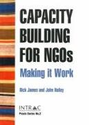 Capacity Building for Ngos: Making It Work
