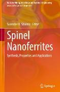 Spinel Nanoferrites