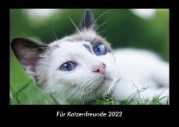 Für Katzenfreunde 2022 Fotokalender DIN A3