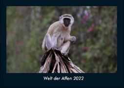 Welt der Affen 2022 Fotokalender DIN A4