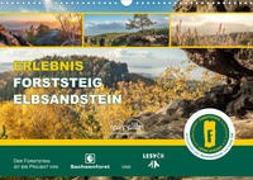 Erlebnis Forststeig Elbsandstein (Wandkalender 2022 DIN A3 quer)