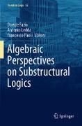 Algebraic Perspectives on Substructural Logics