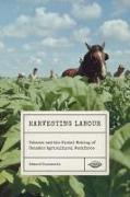 Harvesting Labour: Tobacco and the Global Making of Canada's Agricultural Workforce Volume 12