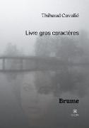 Brume - Livre gros caractères