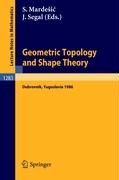 Geometric Topology and Shape Theory